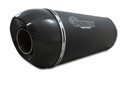 Escape Sport Carbon homologado para: Yamaha Majesty 150 - Maxter 150