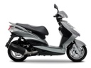 Marmitta Sport Carbon catalizzato e approvato per CYGNUS