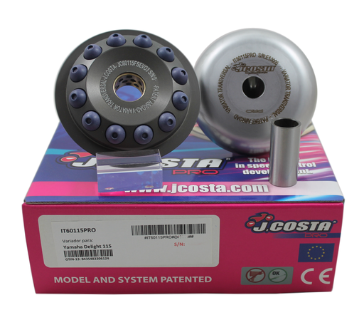 [IT60115PRO] Variatore J.Costa PRO per Yamaha Delight 115